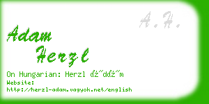 adam herzl business card